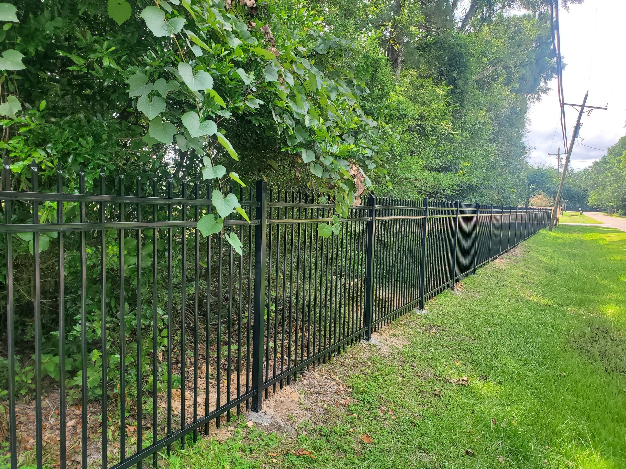 Black iron fence with climbing vines