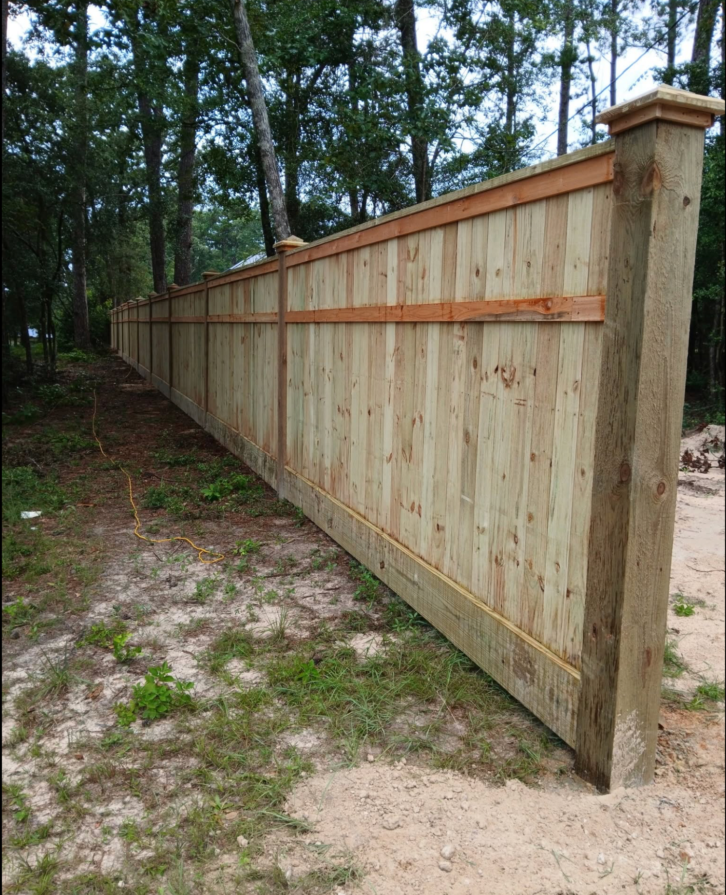 Wooden fence running through forest